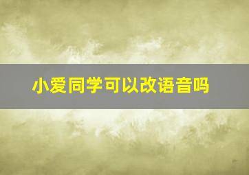 小爱同学可以改语音吗