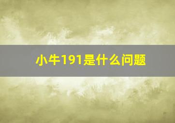 小牛191是什么问题