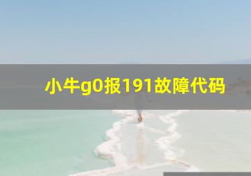 小牛g0报191故障代码