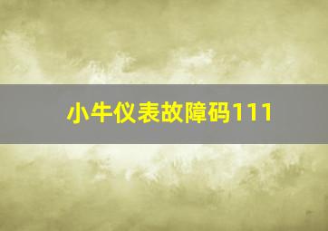 小牛仪表故障码111