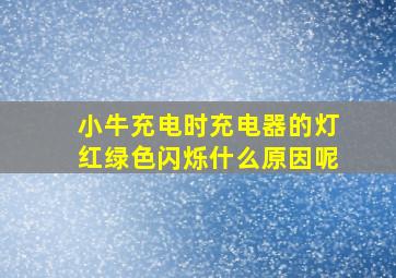 小牛充电时充电器的灯红绿色闪烁什么原因呢