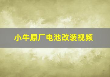 小牛原厂电池改装视频