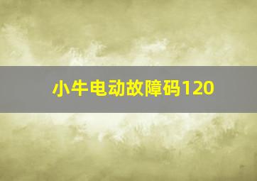 小牛电动故障码120