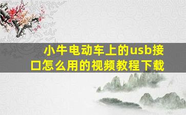 小牛电动车上的usb接口怎么用的视频教程下载