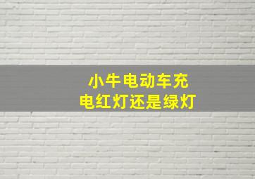 小牛电动车充电红灯还是绿灯