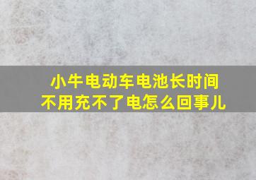 小牛电动车电池长时间不用充不了电怎么回事儿