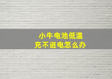 小牛电池低温充不进电怎么办