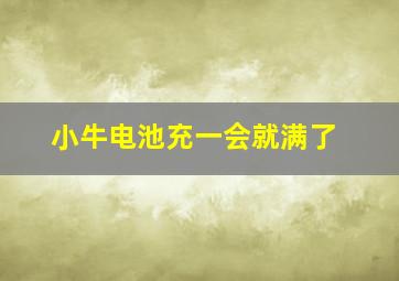 小牛电池充一会就满了