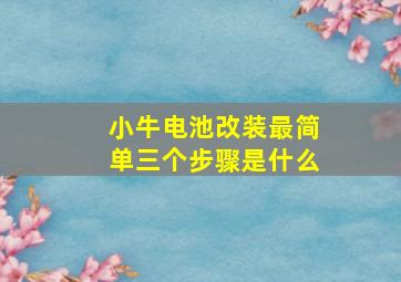 小牛电池改装最简单三个步骤是什么