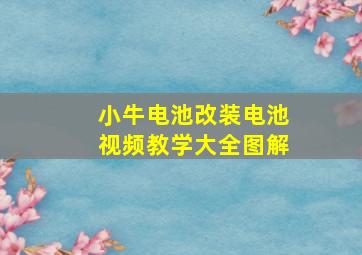 小牛电池改装电池视频教学大全图解