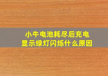 小牛电池耗尽后充电显示绿灯闪烁什么原因