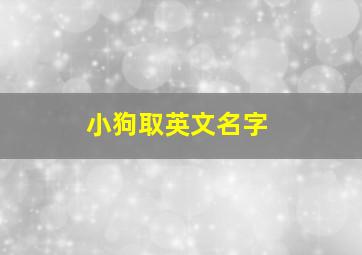 小狗取英文名字