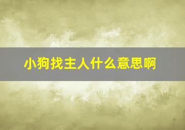 小狗找主人什么意思啊