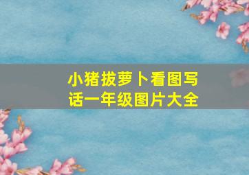 小猪拔萝卜看图写话一年级图片大全