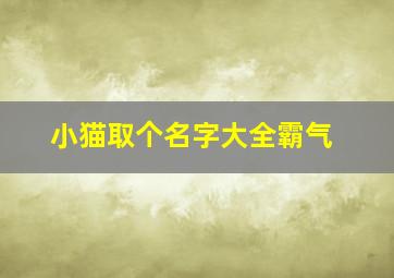 小猫取个名字大全霸气