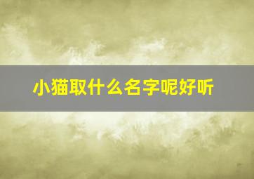 小猫取什么名字呢好听