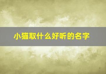 小猫取什么好听的名字