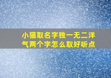 小猫取名字独一无二洋气两个字怎么取好听点