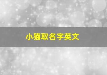 小猫取名字英文