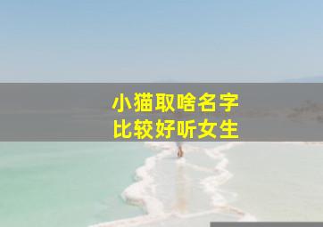 小猫取啥名字比较好听女生