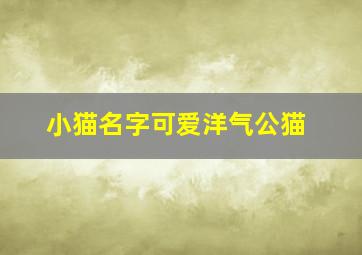 小猫名字可爱洋气公猫