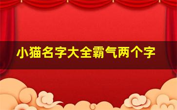 小猫名字大全霸气两个字