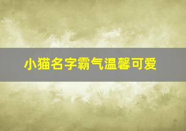 小猫名字霸气温馨可爱