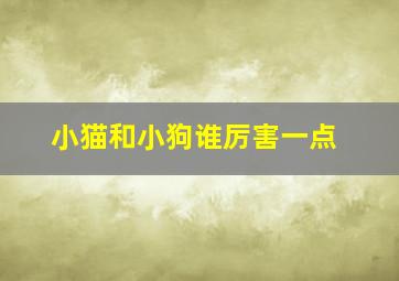 小猫和小狗谁厉害一点