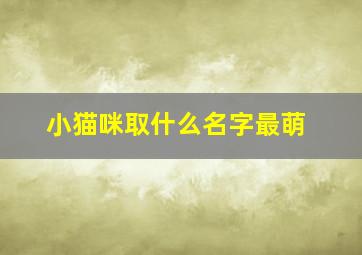 小猫咪取什么名字最萌