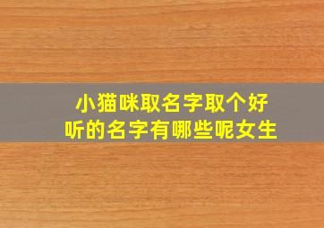 小猫咪取名字取个好听的名字有哪些呢女生