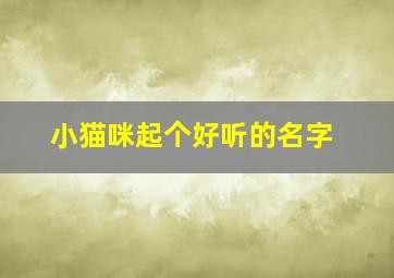 小猫咪起个好听的名字