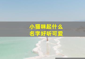 小猫咪起什么名字好听可爱