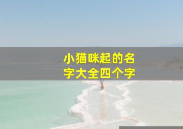 小猫咪起的名字大全四个字