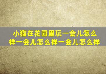 小猫在花园里玩一会儿怎么样一会儿怎么样一会儿怎么样