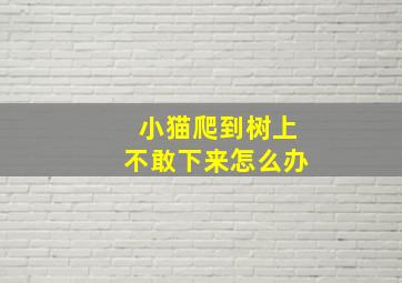 小猫爬到树上不敢下来怎么办