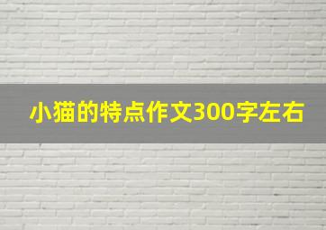 小猫的特点作文300字左右