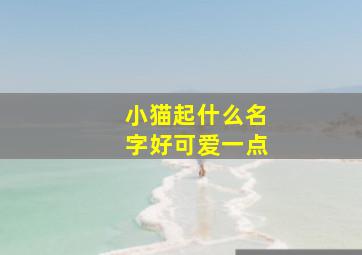 小猫起什么名字好可爱一点