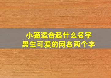 小猫适合起什么名字男生可爱的网名两个字