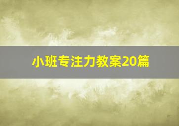 小班专注力教案20篇