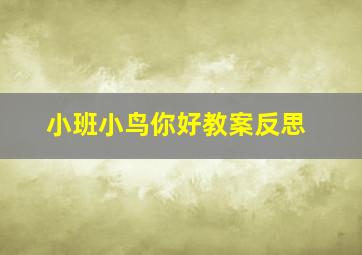 小班小鸟你好教案反思