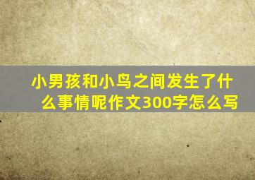 小男孩和小鸟之间发生了什么事情呢作文300字怎么写