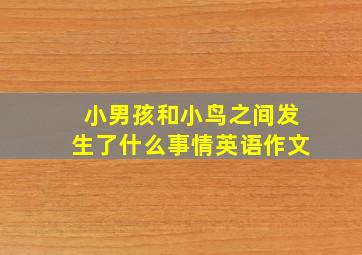 小男孩和小鸟之间发生了什么事情英语作文