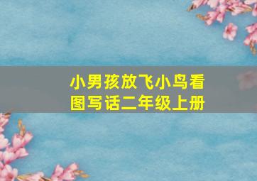 小男孩放飞小鸟看图写话二年级上册