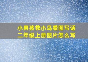 小男孩救小鸟看图写话二年级上册图片怎么写