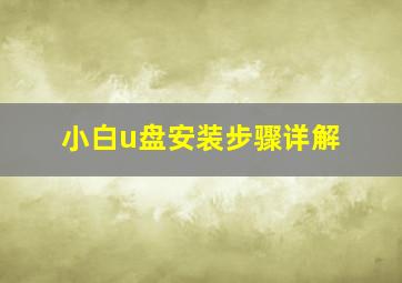 小白u盘安装步骤详解