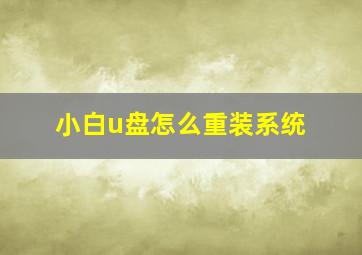 小白u盘怎么重装系统