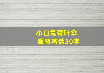 小白兔荷叶伞看图写话30字