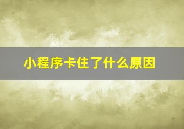 小程序卡住了什么原因