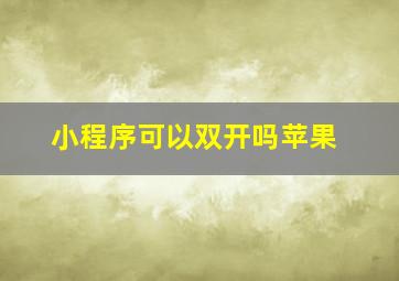 小程序可以双开吗苹果