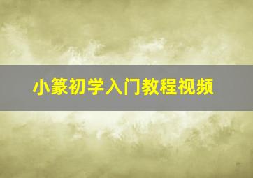 小篆初学入门教程视频